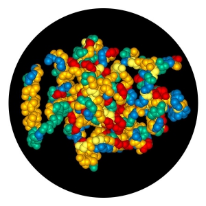 Haemophilus influenzae Protein D structure predicted using DNASTAR's NovaFold application, visualized in Lasergene Protean 3D